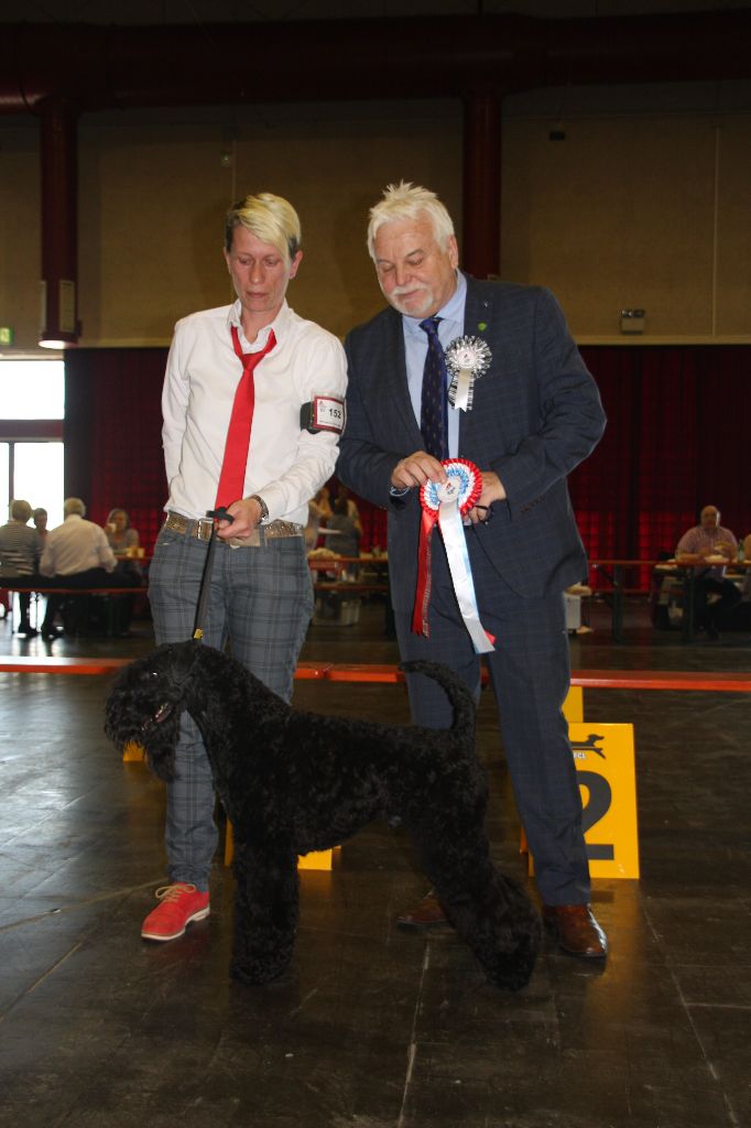 Enniskillen - LUXEMBOURG TERRIER CLUB SHOW 06.05.2018