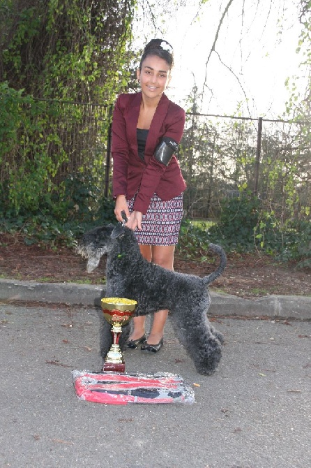 Enniskillen - PARIS DOG SHOW 13.01.2016 JUNIOR HANDLING