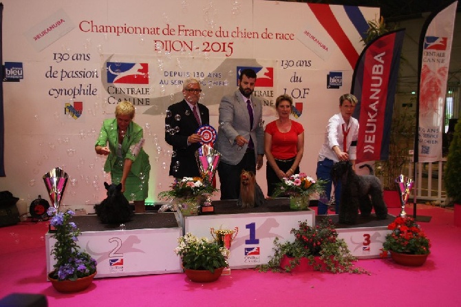 Enniskillen - CHAMPIONNAT DE FRANCE DIJON 07.06.2015